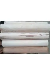 Şömine Odunu Kayın Ağacı