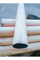 Şömine Odunu Kayın Ağacı