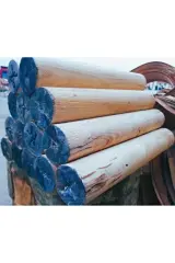 Şömine Odunu Kayın Ağacı