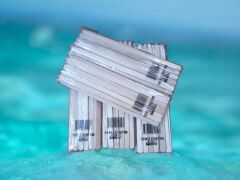 Adana/Kebap Şiş 5000 Adet