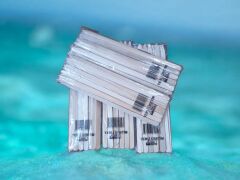 Adana/Kebap Şiş 2000 Adet