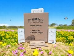 Abeslang/Dil Çubuğu/Ağda Spatulası 800 Adet